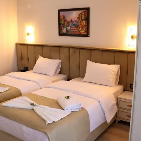 Hotel Mes & Spa 3*
